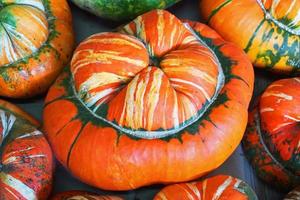 Pumpkin in vegetable shop photo