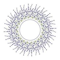 Round frame made of lavender twigs. An empty space for the text. vector