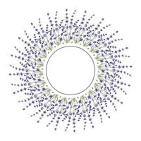 Round frame made of lavender twigs. An empty space for the text. vector