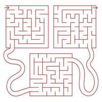 Abstract colored complex isolated labyrinth vector