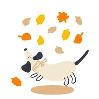 dibujo de un perro salchicha corriendo con hojas de otoño vector