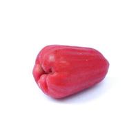 Rose apple or water guava isolated on white background photo