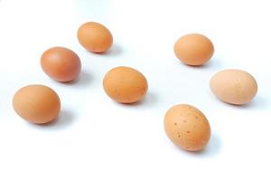 huevos de gallina aislado sobre un fondo blanco foto