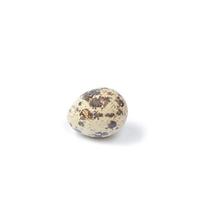 Quail eggs isolated on a white background photo