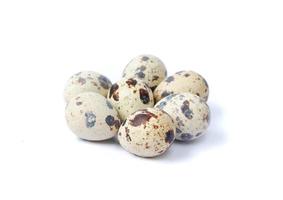 Quail eggs isolated on a white background photo