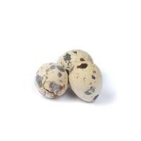 Quail eggs isolated on a white background photo