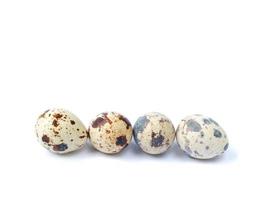 Quail eggs isolated on a white background photo