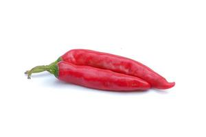 Red chili isolated on a white background photo
