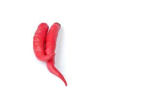 Red chili isolated on a white background photo