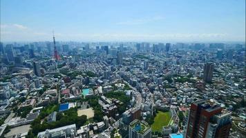 Beautiful architecture building in Tokyo city Japan video