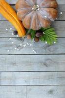 Pumpkin and zucchini on a background with an empty field for text photo