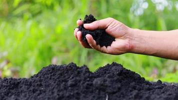 boerenhanden ploegen de grond om zich voor te bereiden op het planten. video