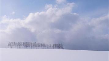 träd och gren står med snö på vintern video