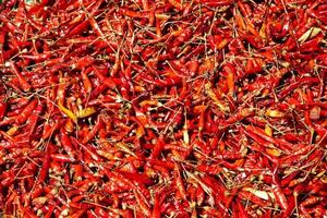 Many red chili in paper box in Thailand photo