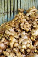 Many dry ginger in Thai market photo