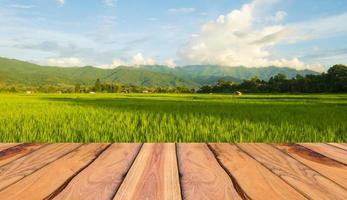 Wooden floor rice field landscape beautiful natural scenery photo