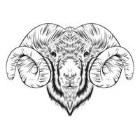 head of goat black and white illustration vector