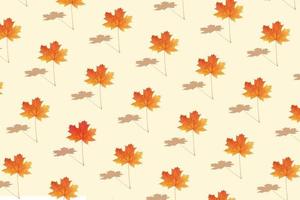 Autumn creative pattern with maple leaf photo