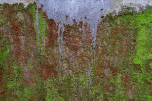 Close-up de textura de musgo verde en la antigua muralla de fondo foto