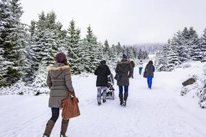 harz, alemania 2014- excursionistas en paisaje nevado foto