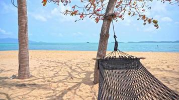 Schaukel am Strand video