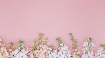 Flores blancas y rosadas sobre fondo rosa con espacio de copia foto