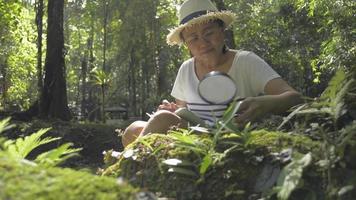kvinnlig biolog utforska växterna med förstoringsglas i skogen. video