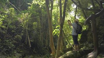 weiblicher Tourist mit Rucksack unter Bild mit Smartphone im Wald. video