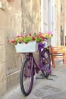 Beautiful Flower Pot on bycicle at Matera Italy photo