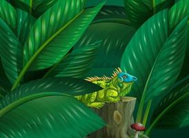 Iguana hidden in the tropical leaves background vector