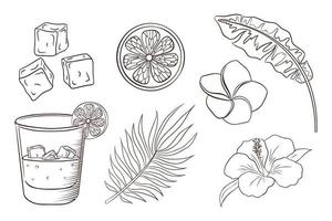 Coctel de whisky con soda, flores y hojas tropicales para colorear vector