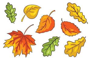 Hand Drawn Autumn Leaves Set vector