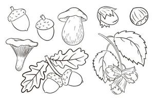 Hand Drawn Harvest Elements Set vector