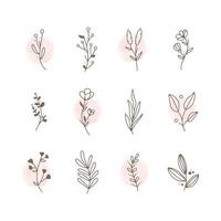 Set of Hand Drawn Floral Logo Elements vector