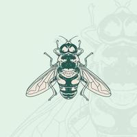 Honey bee Hand drawn engraving vintage style white background vector