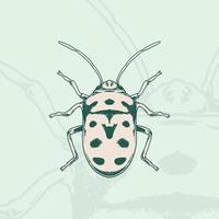 Hand drawn of ladybug Sketch Symbol. Vector Ladybird Element