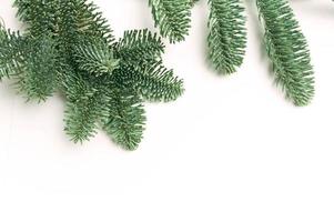 Christmas fir branches with place for your text photo