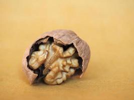 Walnut food with open nut shell photo