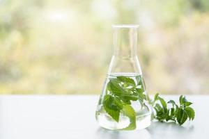 Peppermint spa treatments on white wooden table photo