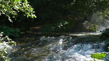 cascade of marmore in summer in umbria video