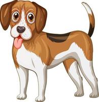 dibujos animados de perro beagle sobre fondo blanco vector