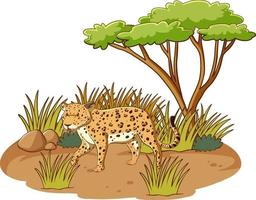 Leopardo en el bosque de la sabana sobre fondo blanco. vector