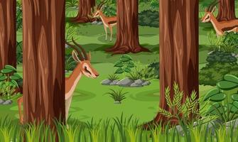 Wild animals in forest landscape background vector