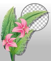 Pink lily with round frame vector