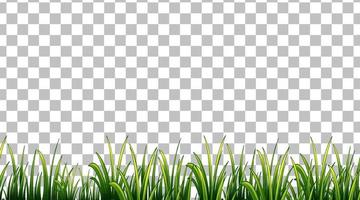 Simple grass field vector