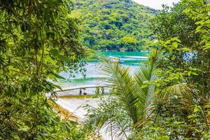 Mangrove and Pouso beach on tropical island Ilha Grande Brazil. photo