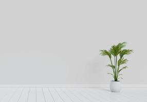 Modern interior design of living room with natural green plant pot photo