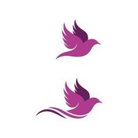 Bird wing Dove icon Template vector