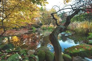 Autumn in northern Italy with plants and pond photo