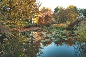 estanque con hojas caídas en otoño foto